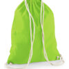 Gymsack Moselzeug gruen